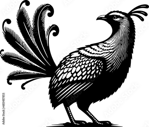 Lyrebird icon 7