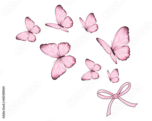 butterflies and flowers