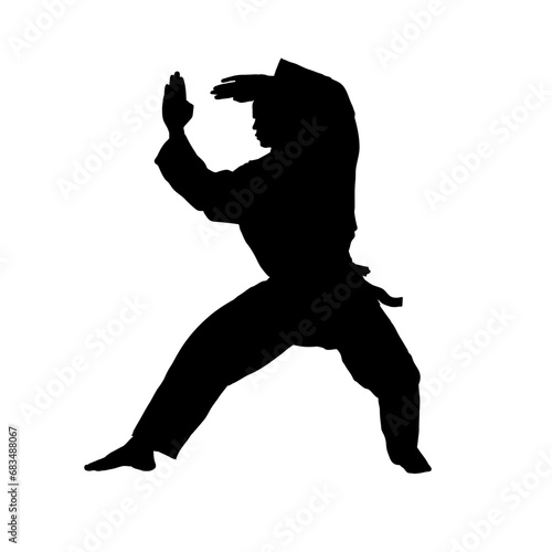silhouette of karateka, karate fighter - vector illustration