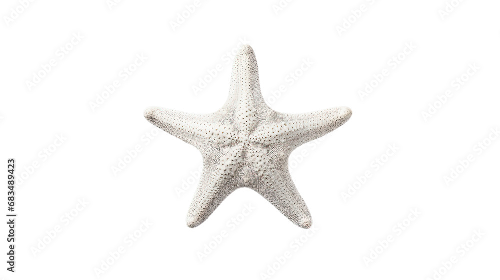 White starfish. Isolated on Transparent background. White starfish. Isolated on Transparent background.