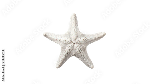 White starfish. Isolated on Transparent background.
