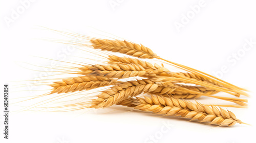 Wholewheat crisply set against a clear backdrop, in perfect focus for a farming-oriented image.