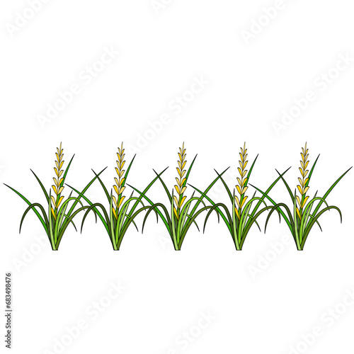 Rice Plant Agriculture Vector Design. Rice Plant Design Element. Rice Plant Single Icon. Rice Plant Illustration Svg File