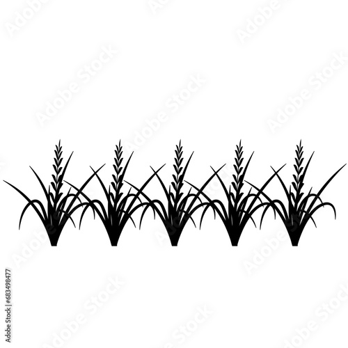 Fototapeta Naklejka Na Ścianę i Meble -  Rice Plant Agriculture Vector Design. Rice Plant Design Element. Rice Plant Single Icon. Rice Plant Illustration Svg File