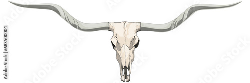 Texas longhorn skull Texas cow head isolated on transparent background ready for print photo
