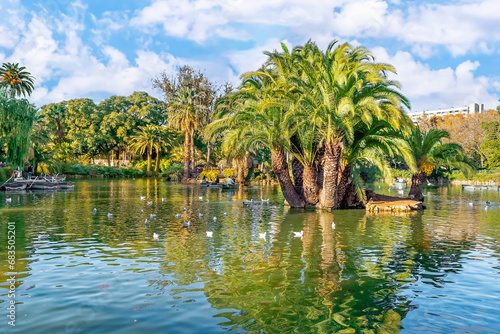 Small islet with palm trees in the middle of a lake with waterfowl in the Parc de la Ciutadella in Barcelona, Spain. Pond in a city garden on a sunny autumn day