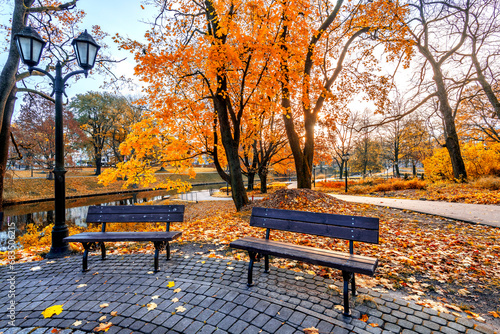 Golden autumn patterns, walkways and place for resting with garden benches in central public park of Riga - the capital of Latvia, Baltic region
