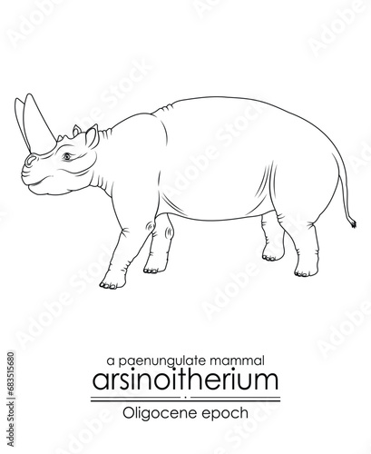 Arsinoitherium, a paenungulate mammal from Oligocene epoch. It had large nasal horns and smaller frontal horns. Black and white line art, perfect for coloring and educational purposes. photo