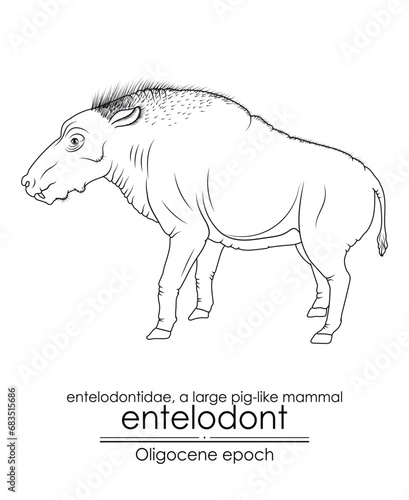 Entelodont, also known as the hell pig, was a large pig-like mammal from the Oligocene epoch. Black and white line art, perfect for coloring and educational purposes.