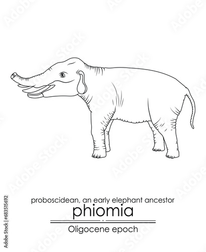 Phiomia, an early elephant ancestor from the Oligocene epoch, with nasal bones and a very short trunk. Black and white line art, perfect for coloring and educational purposes.