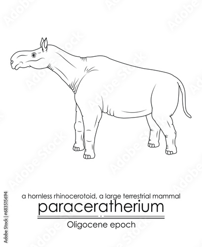 Paraceratherium, a hornless rhinocerotoid, a large terrestrial mammal from Oligocene epoch. Black and white line art, perfect for coloring and educational purposes.