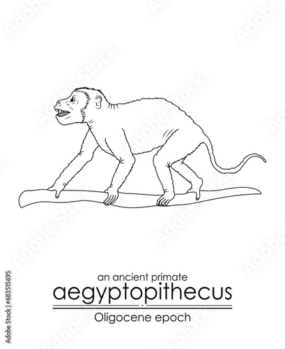 An ancient primate, aegyptopithecus from Oligocene epoch. Black and white line art, perfect for coloring and educational purposes.