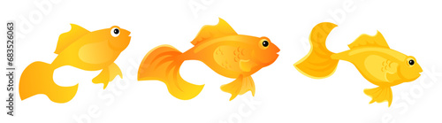Cute gold fish vector clipart. Aquarium goldfish isolated illustration