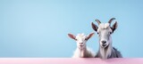 Stylish happy goats on pastel background with space for adding text, quotes, or captions