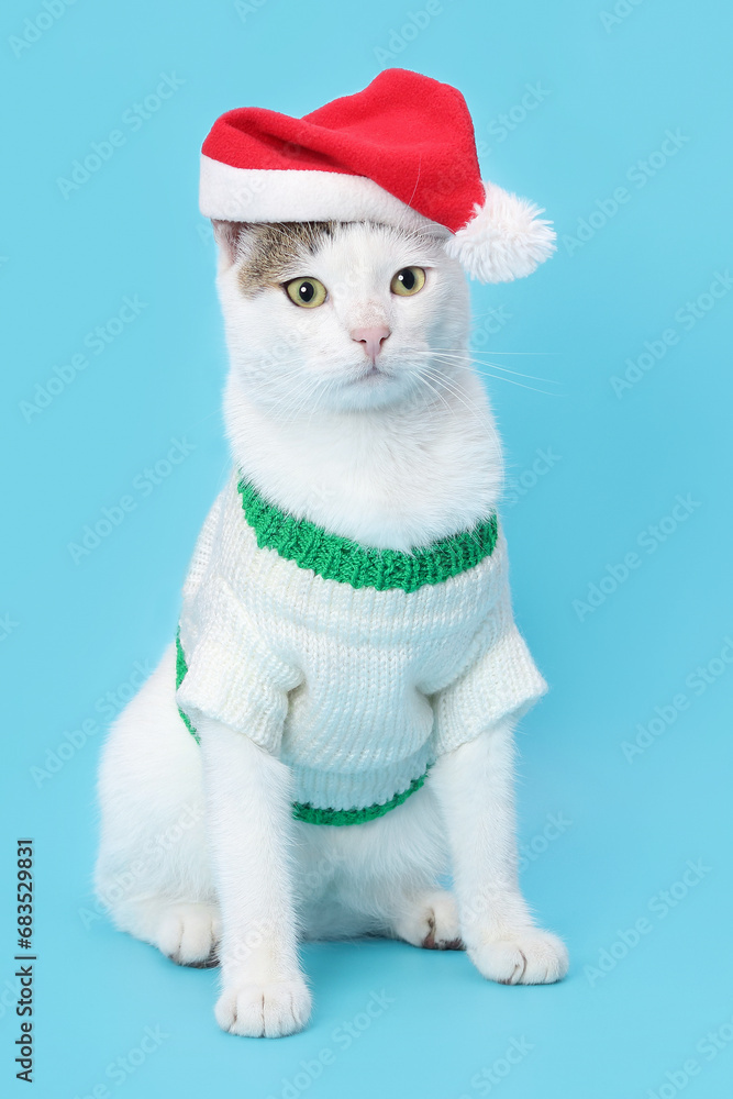 Studio portrait of a white cat looking at camera against a Turquoise background. Funny kitten wearing warm white sweater and Santa Claus xmas red cap. Cat with Santa hat. Pet. Xmas. Winter Studio portrait of a white cat looking at camera against a Turquoise background. Funny kitten wearing warm white sweater and Santa Claus xmas red cap. Cat with Santa hat. Pet. Xmas. Winter