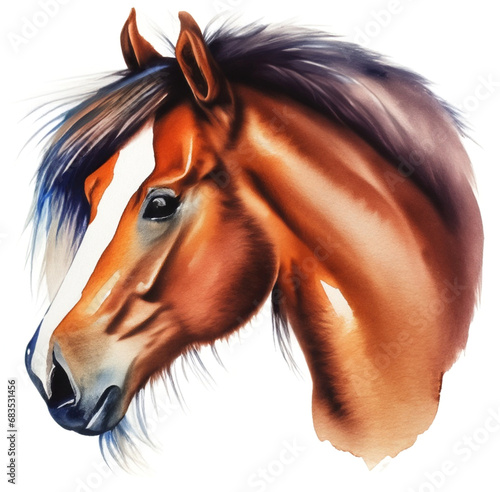 Namalowany koń obraz