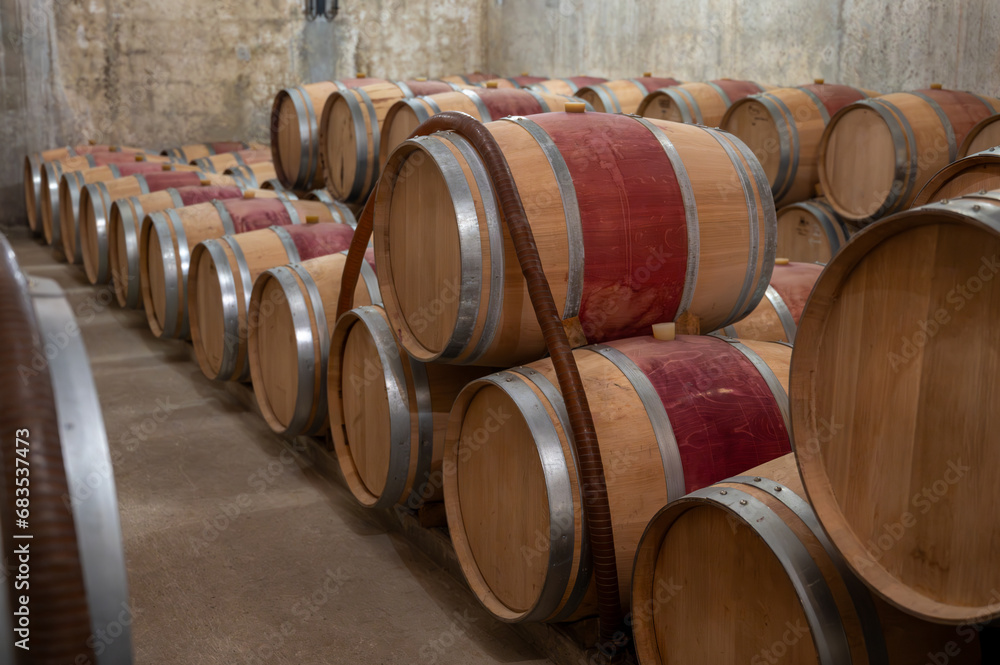 French oak wooden barrels for aging red wine in underground cellar, Saint-Emilion wine making region picking, cru class Merlot or Cabernet Sauvignon red wine grapes, France, Bordeaux French oak wooden barrels for aging red wine in underground cellar, Saint-Emilion wine making region picking, cru class Merlot or Cabernet Sauvignon red wine grapes, France, Bordeaux
