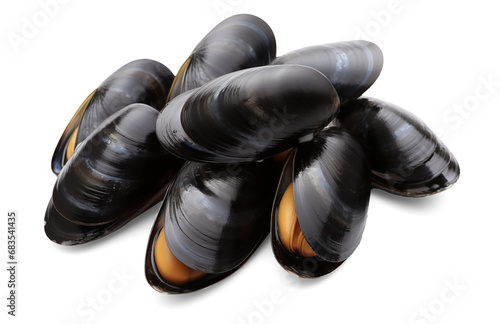 Fresh mussel isolated on transparent background, png photo