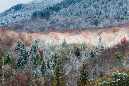 Fall and Winter come together in Pisgah National Forest in North Carolina photo