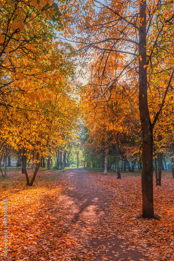 Fototapeta premium A colorful alley, a path for walking in the autumn park among the trees.