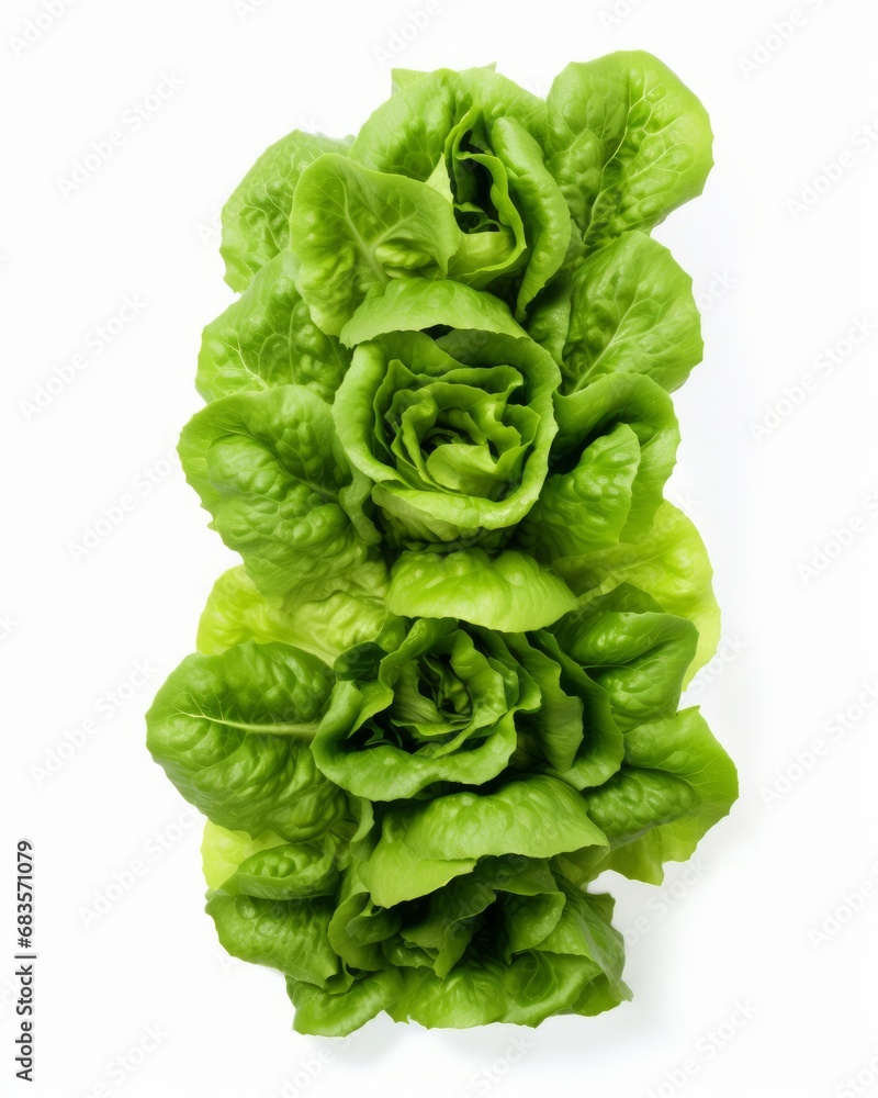 Fresh & Crisp: Captivating Image of Isolated Lettuce Leaves on a White Background Generative AI Fresh & Crisp: Captivating Image of Isolated Lettuce Leaves on a White Background Generative AI