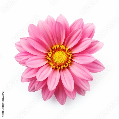 Exquisite Solo Pink Blossom  An Icon of Elegacy Isolated on White Backdrop Generative AI