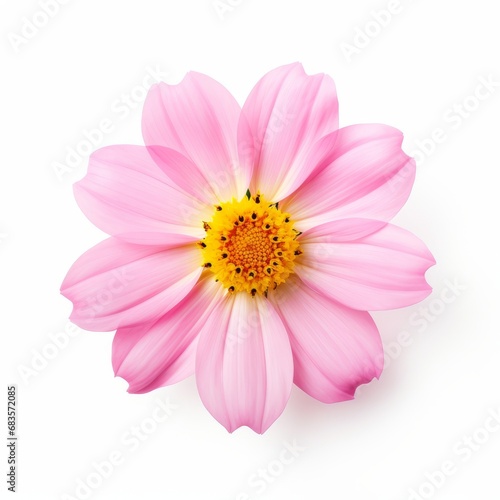 Stunning Solo Pink Blossom  Perfectly Isolated on a Crisp White Background Generative AI