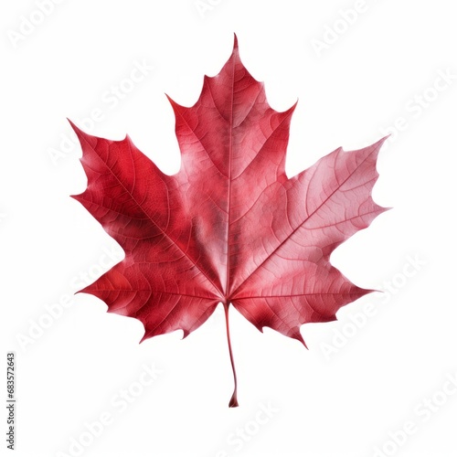 Stunning Solo: The Art of the Red Maple Leaf Isolated on a Pristine White Background Generative AI