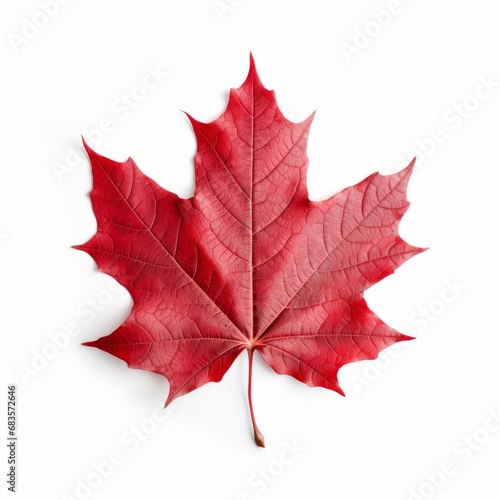 Stunning Solitude: A Perfectly Isolated Red Maple Leaf on White Background Generative AI