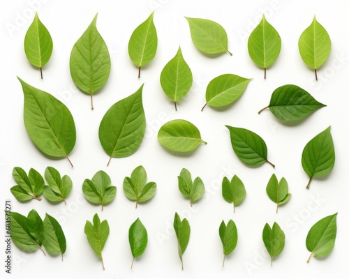 Stunning Collection of Fresh Green Leaves Isolated on a White Background Generative AI