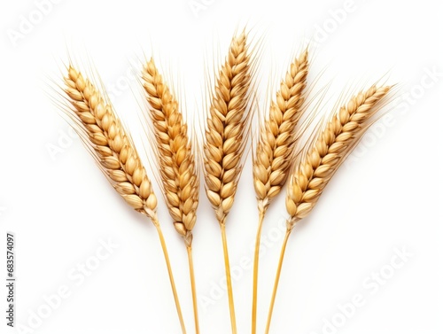 Stunning High-Resolution Image of Triple Wheat Harvest - Perfect for your Agronomy Studies Generative AI