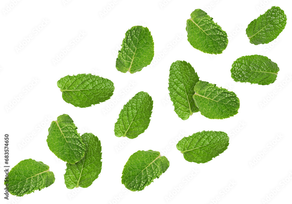 Fresh mint leaves flying on white background Fresh mint leaves flying on white background