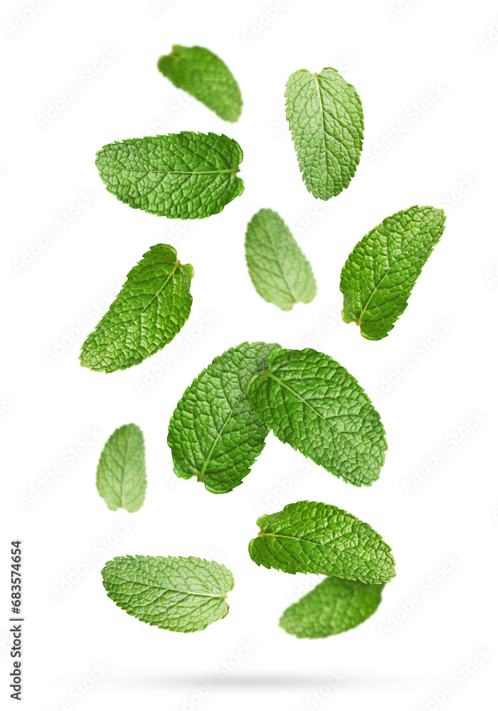 Fresh mint leaves falling on white background Fresh mint leaves falling on white background