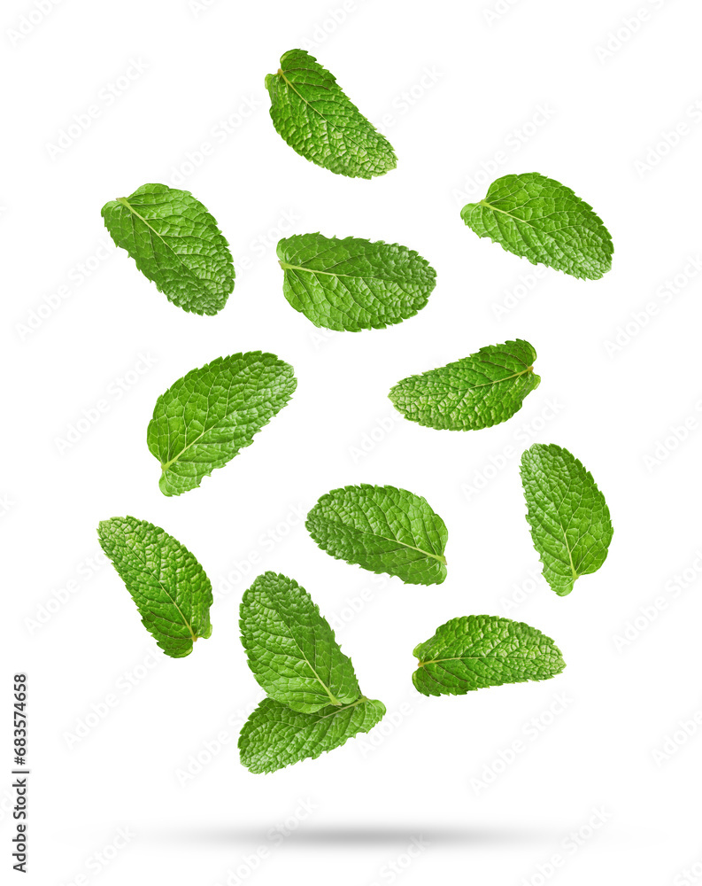 Fresh mint leaves falling on white background Fresh mint leaves falling on white background