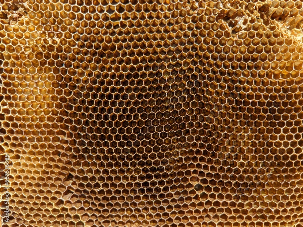 Honeycombs with natural healthy bees wax texture. Closeup of hexagonal bee wax cells structure on wooden frames, new ones are yellow and the older are darker Honeycombs with natural healthy bees wax texture. Closeup of hexagonal bee wax cells structure on wooden frames, new ones are yellow and the older are darker