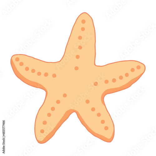 starfish aquatic life
