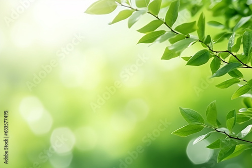 Nature Blur Greenery Bokeh Leaf Wallpaper - Lush Foliage Captured with Generative AI Tools
