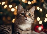 A cat in a Santa Claus hat and a bow on his neck sits under the New Year's tree among New Year's gifts