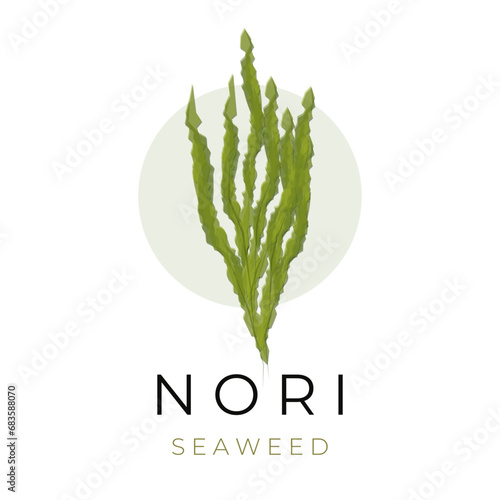 Green seaweed vector illustration logo