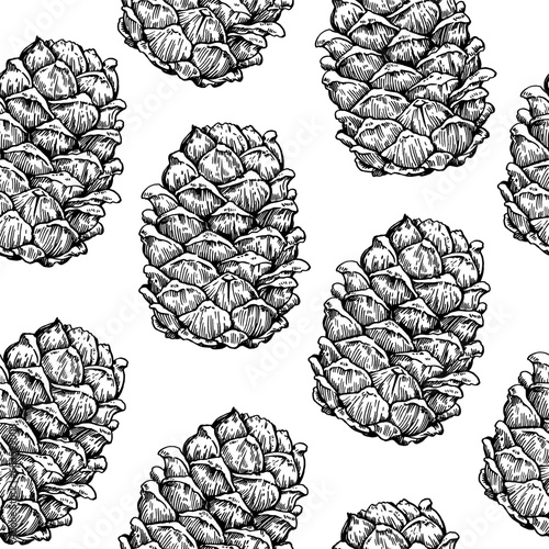 Seamless pattern with cedar pine cone drawing in enagraving style. Hand drawn vector illustration.