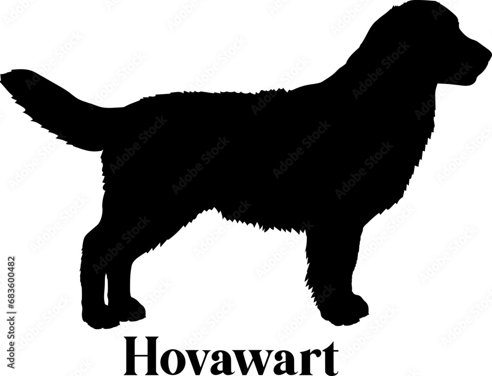 Hovawart Dog silhouette dog breeds logo dog monogram logo dog face vector
SVG PNG EPS