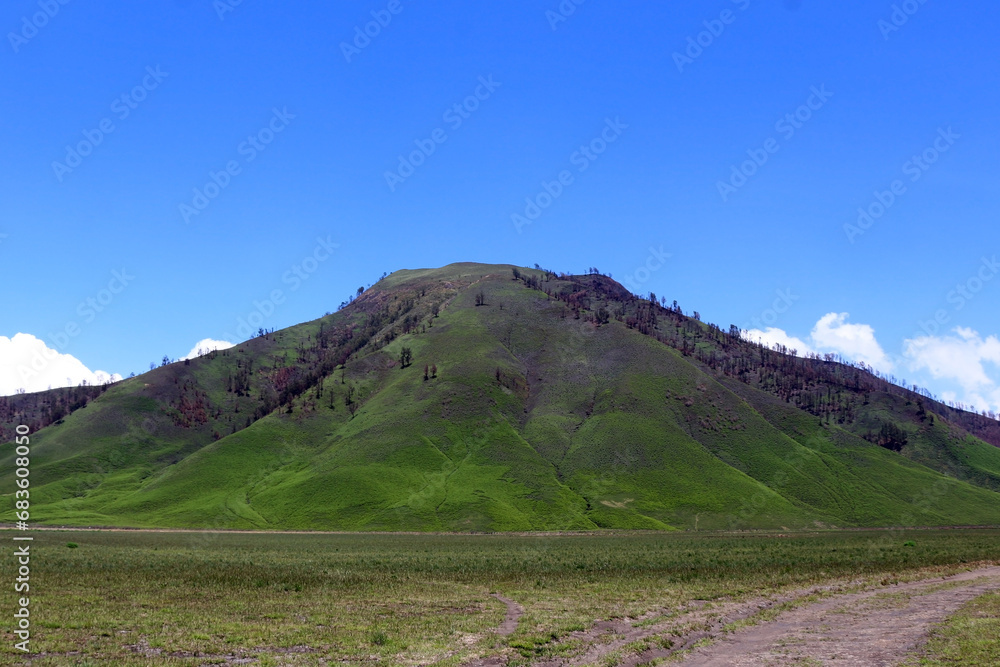 Jemplang Valley, a 382 hectar savanna in the Bromo Tengger Semeru National Park area. Jemplang Valley, a 382 hectar savanna in the Bromo Tengger Semeru National Park area.