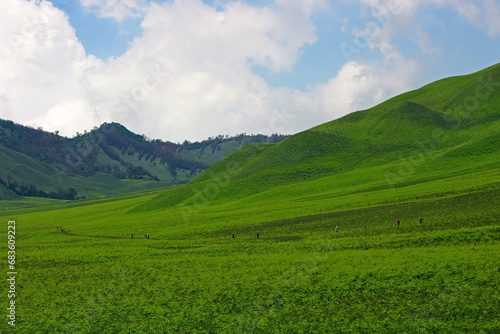 Jemplang Valley, a 382 hectar savanna in the Bromo Tengger Semeru National Park area.