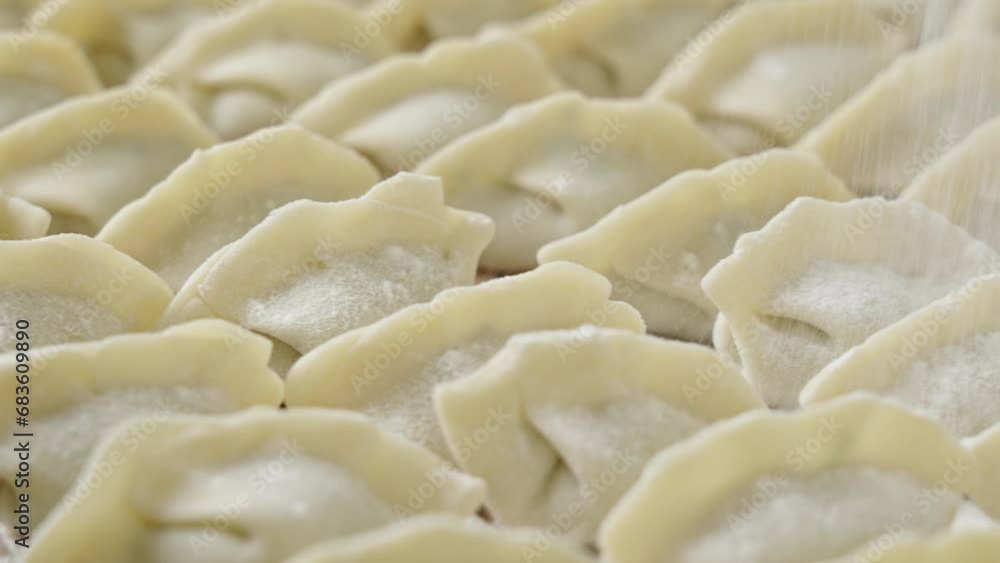 making dumplings in the kitchen. traditional food raw dimplings making dumplings in the kitchen. traditional food raw dimplings
