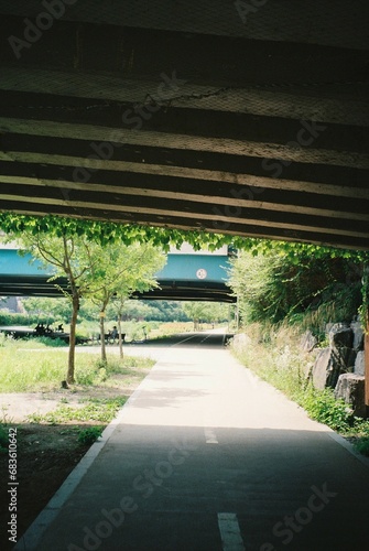 Photos 공원 감성 풀 자연 나무
