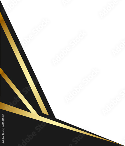 border gold profesional