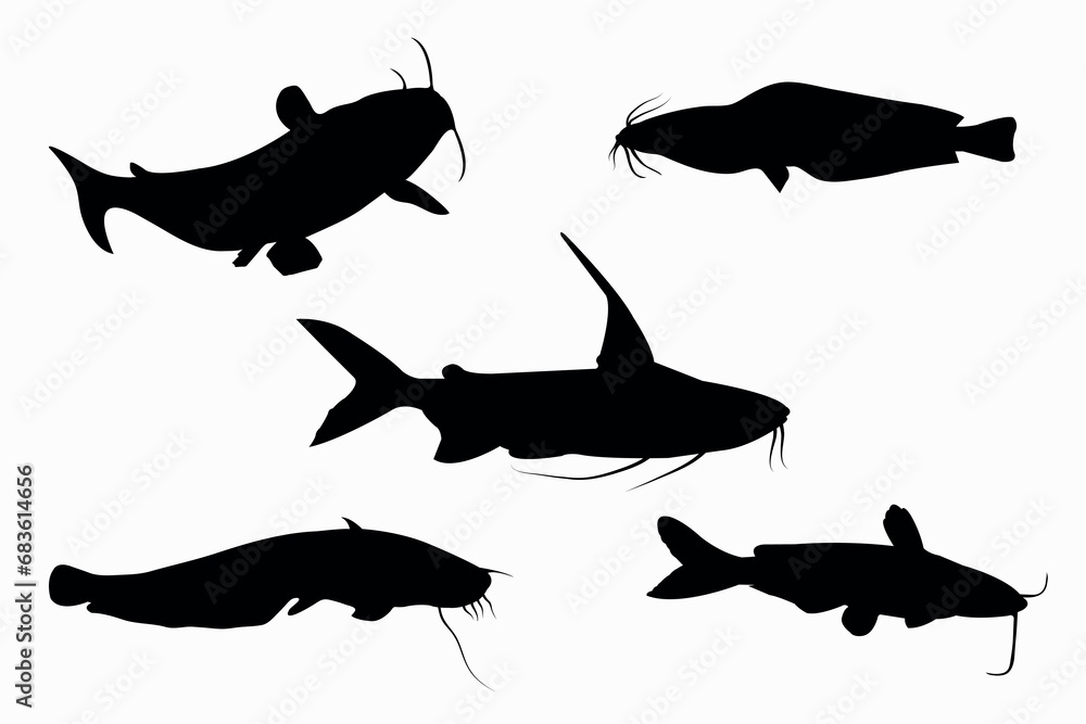 set of catfish vector set of catfish vector
