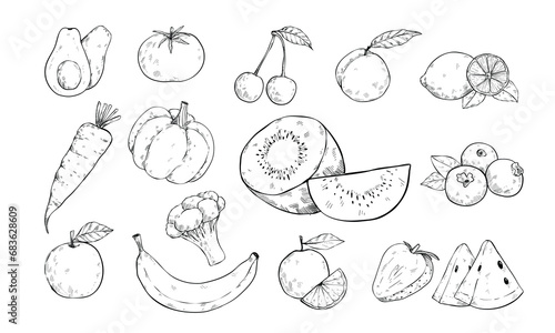 fruits and vegetable handdrawn illustration engraving