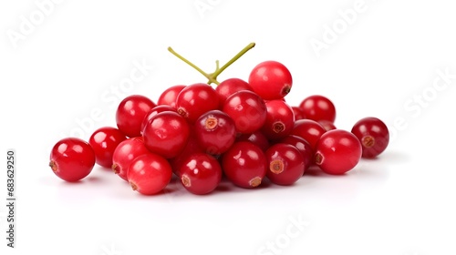 The photo of Cranberry on white background