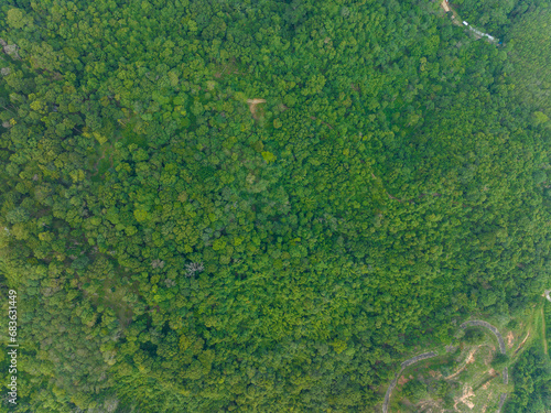 Aerial view Drone camera top view rainforest trees ecology with healthy environment concept and summer background
